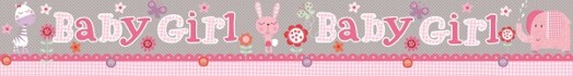 9ft Banner Baby Girl