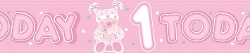 9ft Banner 1st Birthday Girl