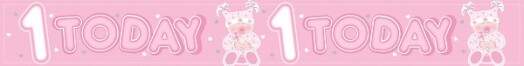 9ft Banner 1st Birthday Girl