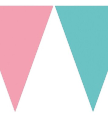Pink & Green Flag Banner