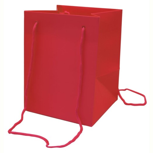 19x25cm Hand Tie Bag 10pk Red