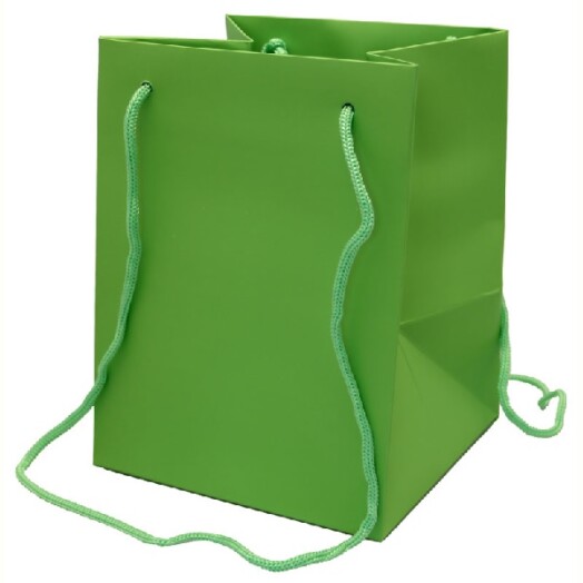 19x25cm Hand Tie Bag 10pk Green