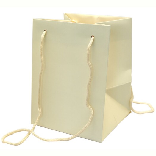 19x25cm Hand Tie Bag 10pk Ivory