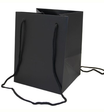 19x25cm Hand Tie Bag 10pk Black