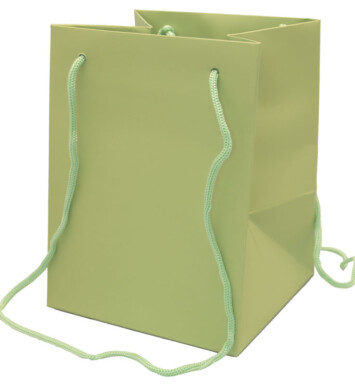 19x25cm Hand Tie Bag 10pk Sage Green