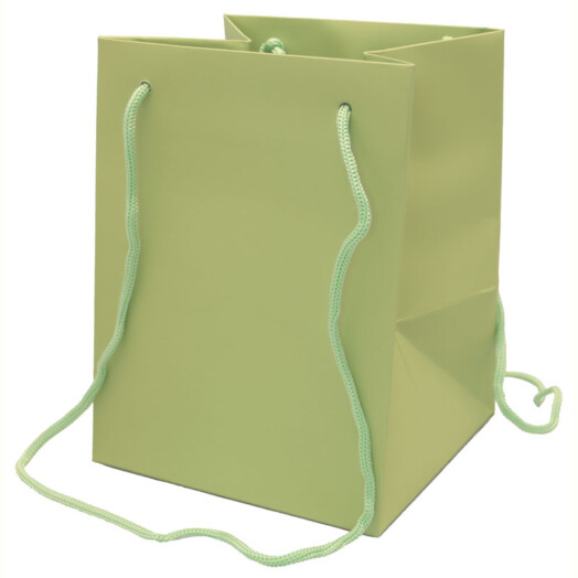 19x25cm Hand Tie Bag 10pk Sage Green