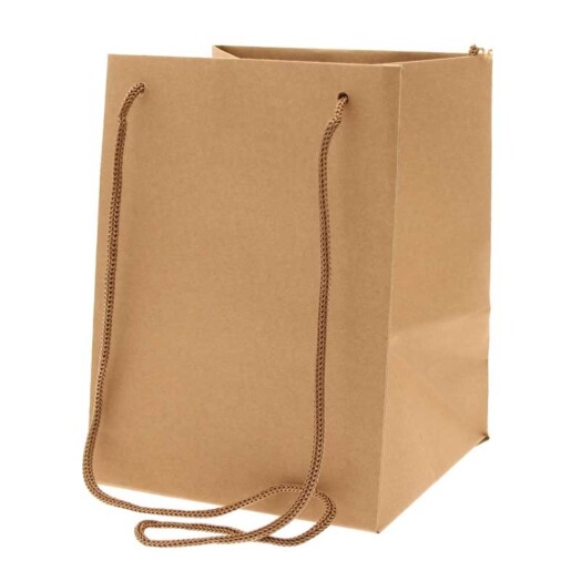 19x25cm Hand Tie Bag 10pk Natural Kraft
