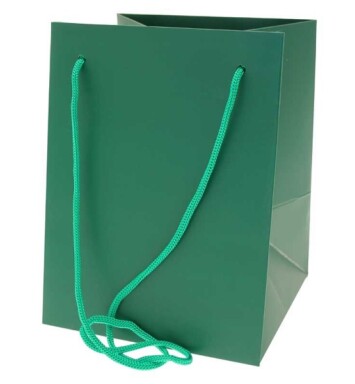 19x25cm Hand Tie Bag 10pk Dark Green