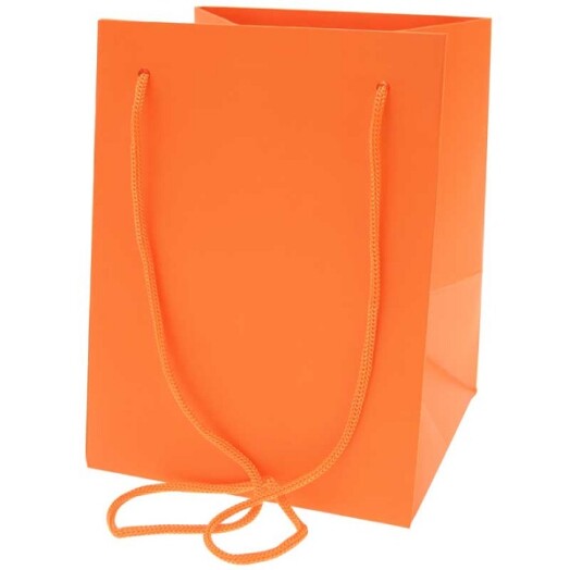 19x25cm Hand Tie Bag 10pk Orange