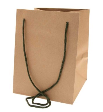 19x25cm Hand Tie Bag 10pk Natural Kraft with Moss Handles