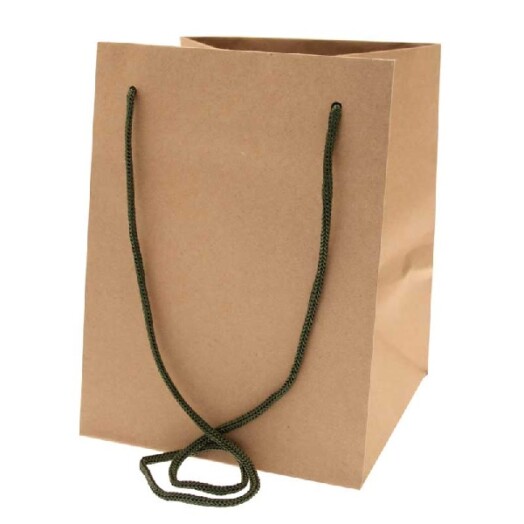 19x25cm Hand Tie Bag 10pk Natural Kraft with Moss Handles