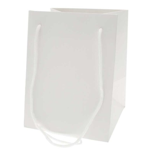 19x25cm Hand Tie Bag 10pk White
