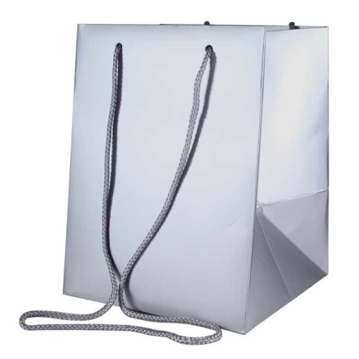 19x25cm Hand Tie Bag 10pk Metallic Silver