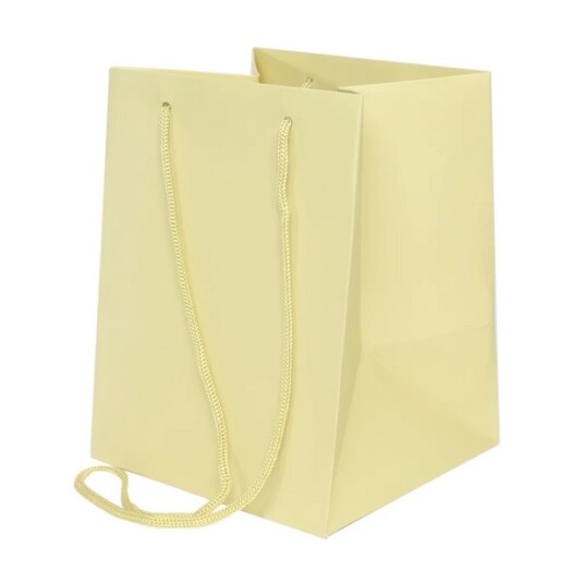19x25cm Hand Tie Bag 10pk Sage Cream
