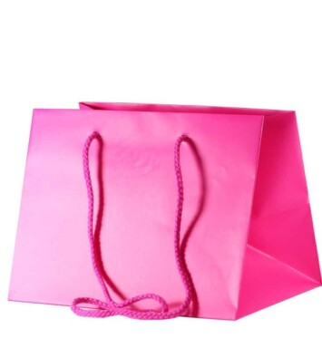 25cm x 19cm Hand Tie Bag 10pk Cerise