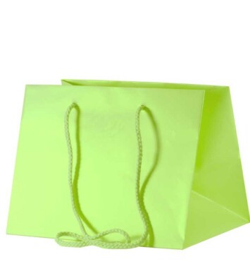 25cm x 19cm Hand Tie Bag 10pk Lime Green
