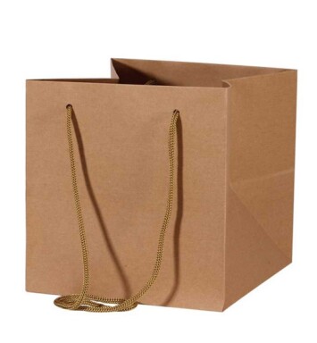 25x25cm Hand Tie Bag 10pk Kraft