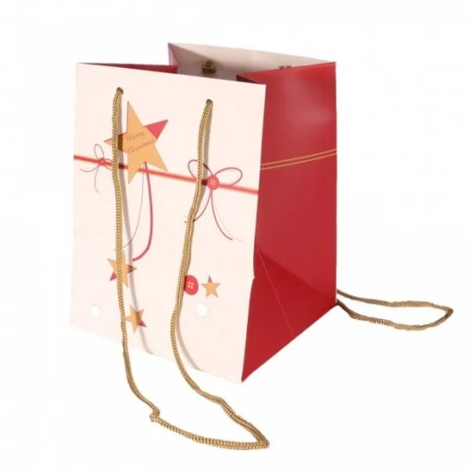 19x25cm Hand Tie Bag 10pk Merry Christmas