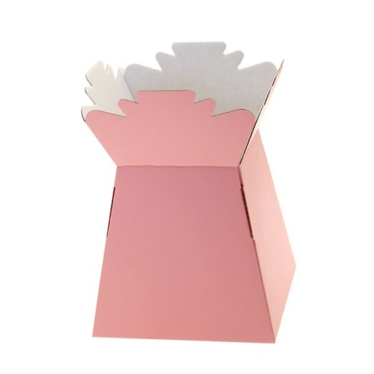 Living Vases - Pale Pink
