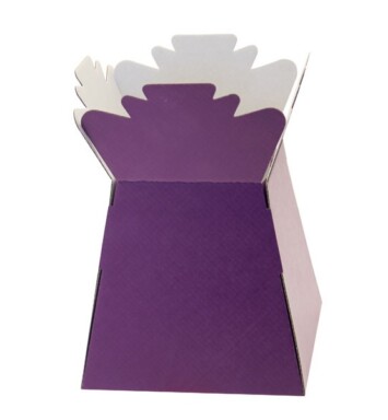 Living Vases - Purple