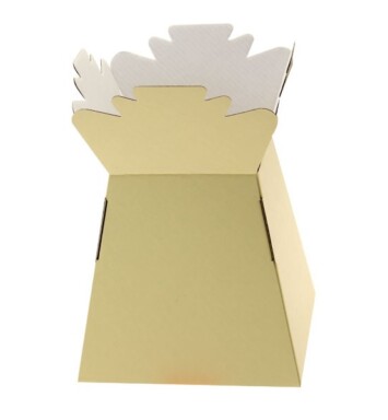 Living Vases - Cream