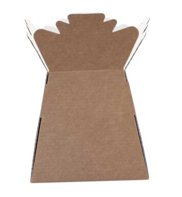 Living Vases - Natural Kraft
