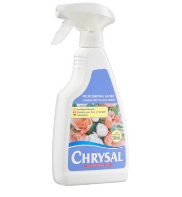 Chrysal Professional Glory