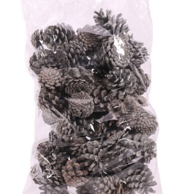 1kg Frosted Pine Cones