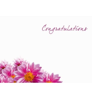 Florist Small Cards - Congratulations