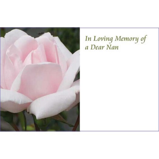 Florist Small Cards - In Loving Memory Nan, Pink Rose