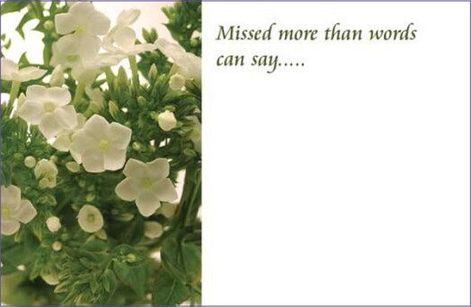 Florist Small Cards - Missed More Than Words Can Say, White