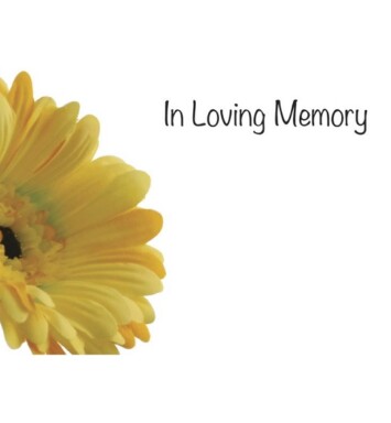 Florist Small Cards - In Loving Memory, Yellow Gerbera