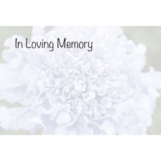 Florist Small Cards - In Loving Memory, Blue Scabious