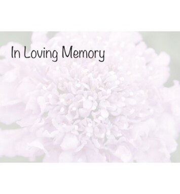 Florist Small Cards - In Loving Memory, Pink Scabious