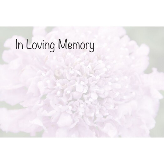 Florist Small Cards - In Loving Memory, Pink Scabious