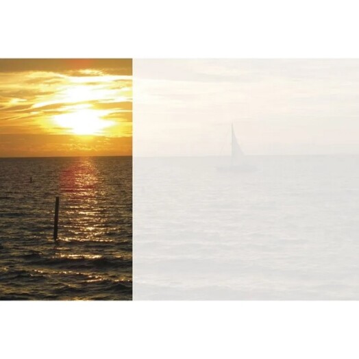 Florist Small Cards - Sunset