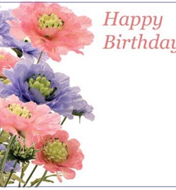 Florist Small Cards - Happy Birthday Scabious
