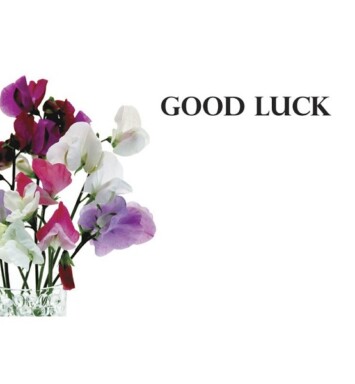 Florist Small Cards - Good Luck, Sweet Peas