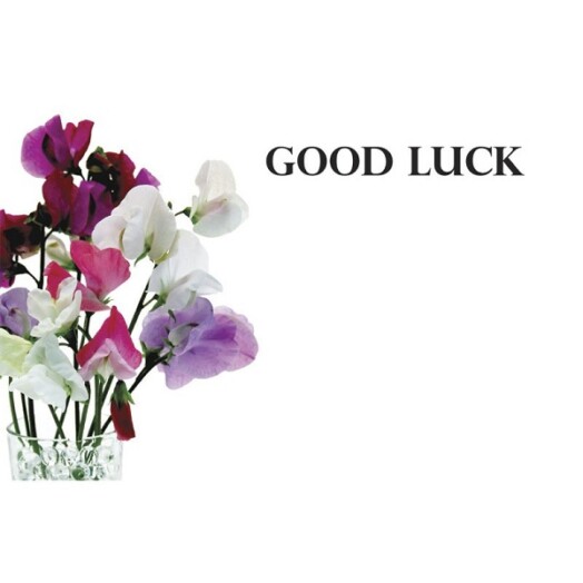 Florist Small Cards - Good Luck, Sweet Peas