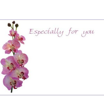 Florist Small Cards - Especially For You Orchids