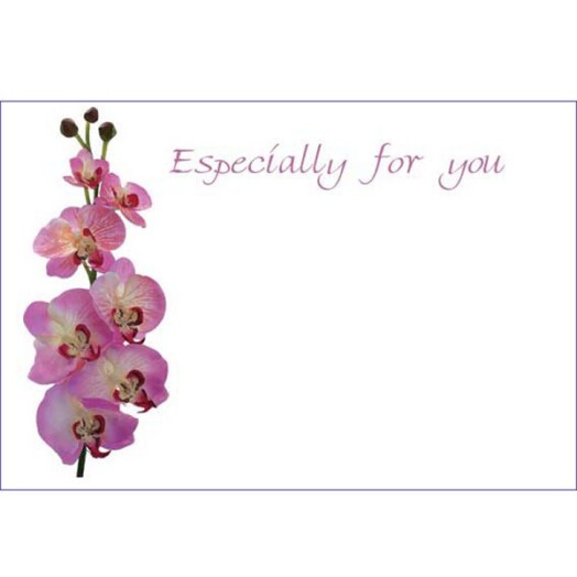 Florist Small Cards - Especially For You Orchids
