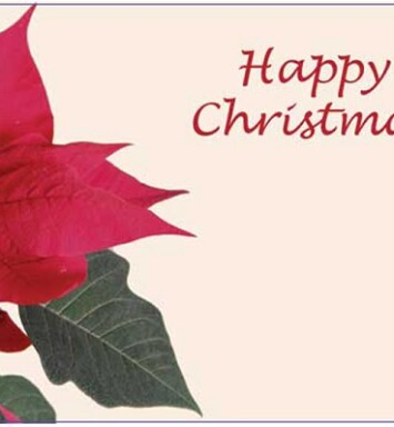 Florist Small Cards - Happy Christmas, Poinsettia