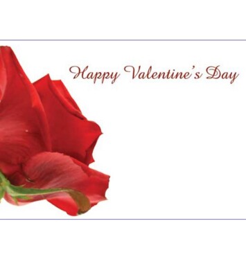 Florist Small Cards - Happy Valentine's Day Red Rose