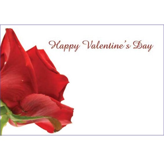 Florist Small Cards - Happy Valentine's Day Red Rose