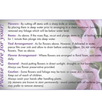 Florist Cut Flowers Care Cards