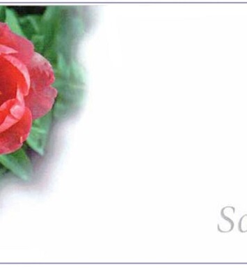Florist Small Cards - Sorry, Pink Flower