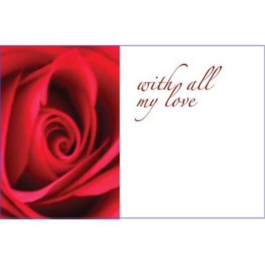 Florist Small Cards - With All My Love, Red Rose