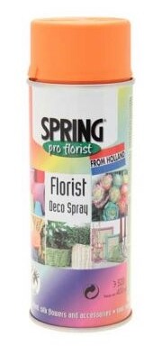 400ml Euro-Aerosols Florist Spray Paint - Orange Peel