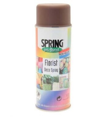 400ml Euro-Aerosols Florist Spray Paint - Dark Brown