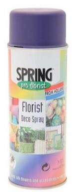 400ml Euro-Aerosols Florist Spray Paint - Deep Purple